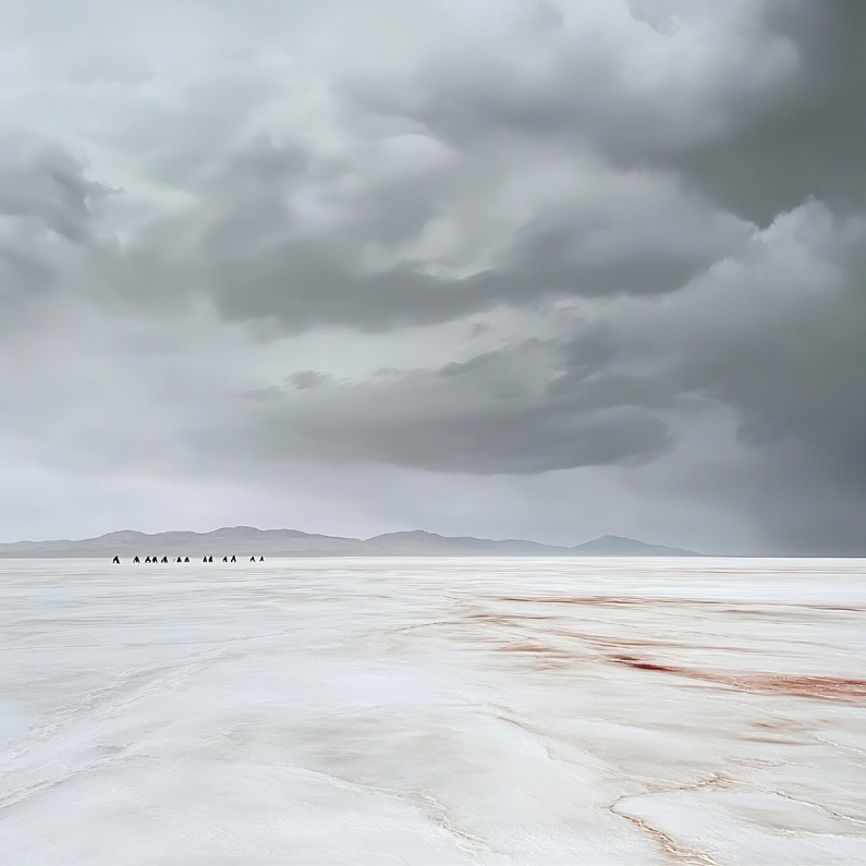 Lake Eyre in the dry season